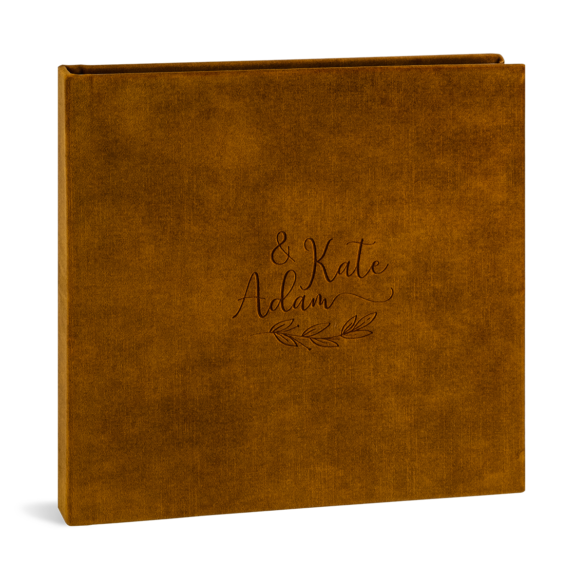 Celebrate Collection models Celebrate